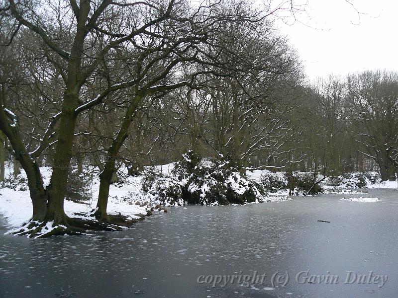 Winter, Hampstead Heath P1070622.JPG